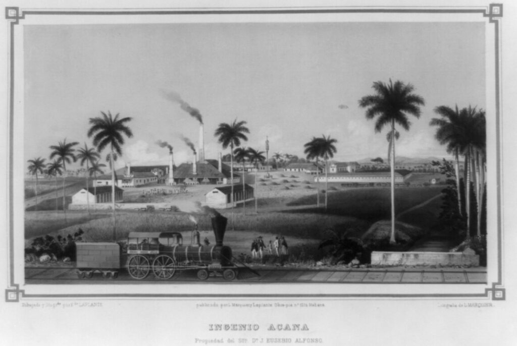 This illustration of a Cuban plantation illustrations the industrialization of sugar production. Cuba was at the forefront of technological innovations, including trains.