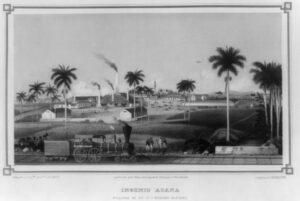 This illustration of a Cuban plantation illustrations the industrialization of sugar production. Cuba was at the forefront of technological innovations, including trains.